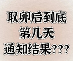 取卵后几天能收到通知啊？