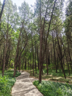 试管4促，还是没有攒到可用的胚胎