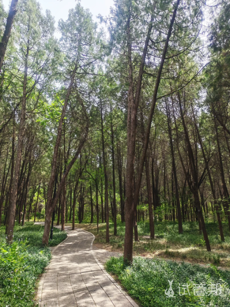 91bc712b9e7d0956d461772154fcde05.png 试管4促还是没有攒到可用的胚胎