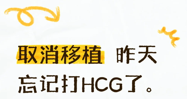 取消移植天塌了