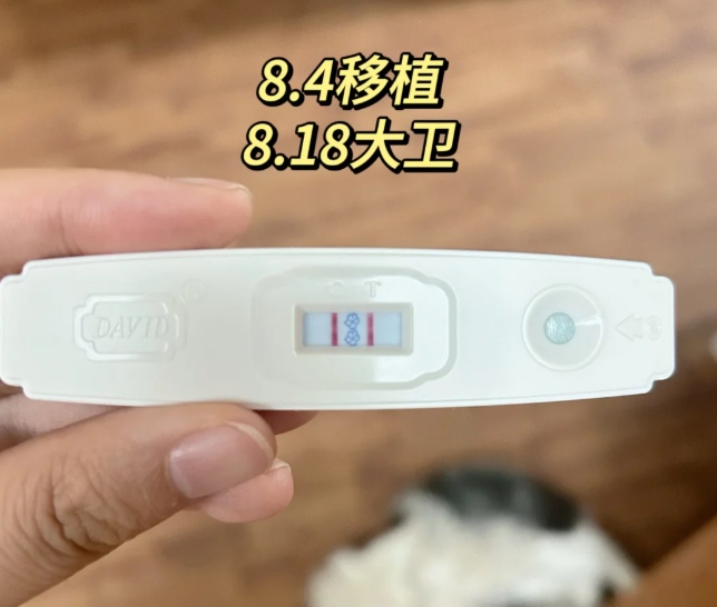 试管日记第15天等待验血开奖啦