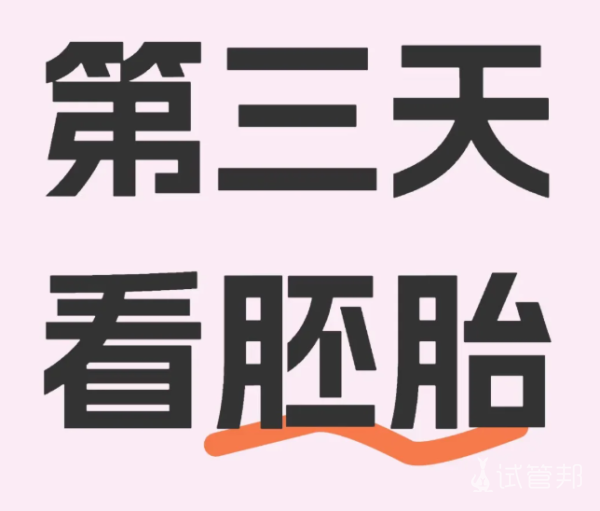 a0f7cbe1f4035f5a2662180852c80105.png 不出意外腹水终于熬到看胚胎