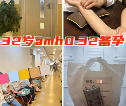 医生看了我的AMH报告直摇头！但我偏不信邪，靠这“三招”成功逆袭！