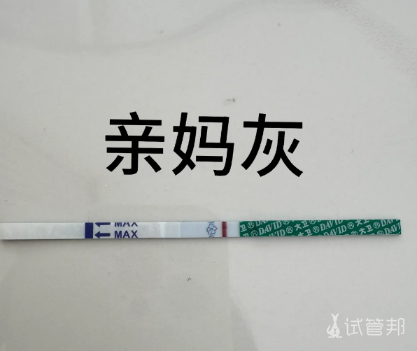 4b52174200c30059447e05c99f896797.png 移植第7天,实在憋不住了!附7天身体感受