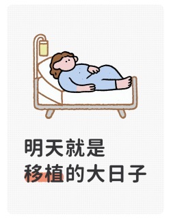 试管妈妈移植前夜｜我的心情和准备清单 💝