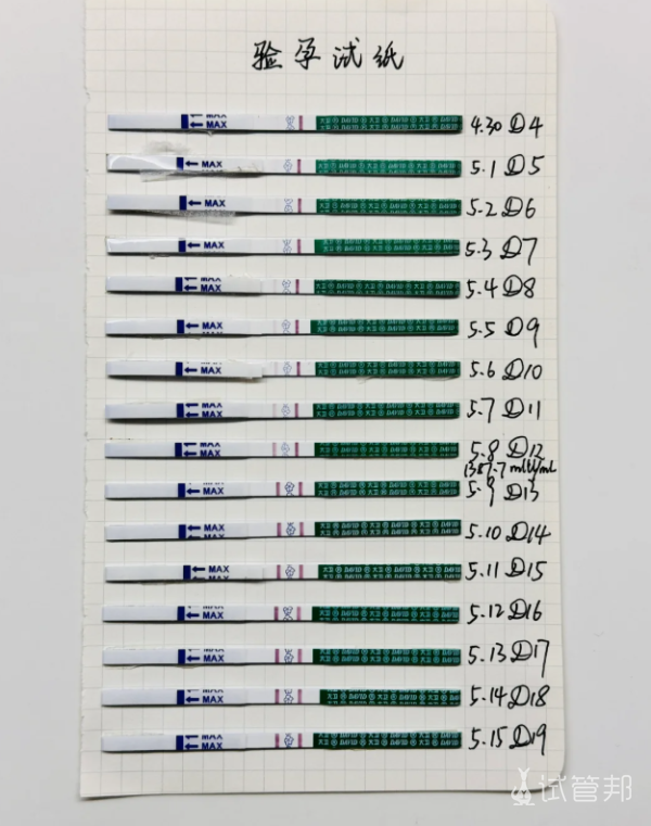 a31e21ad119e93922a8341029e1bcca9.png 移植后千万别碰这个不然真的会疯