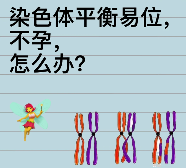 直面染色体挑战在迷茫中锚定希望