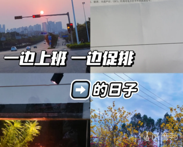 a8dcd20a3e570353a590b3d309fa5438.png 当促排期遇上出差我的选择让老板点了赞