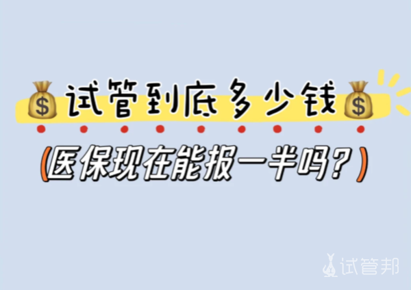 aae2d8df1c1bca2ecbd0b3be05768519.png 试管报销攻略扒一扒各地的隐藏生育福利