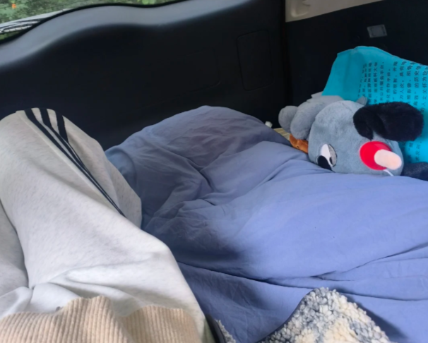 移植后回家路保姆级舒适动线规划