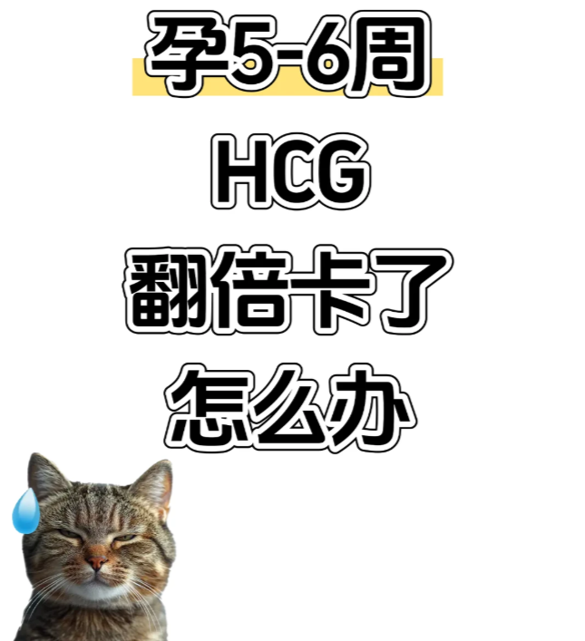 HCG翻倍卡了别慌稳住心态做对3件事