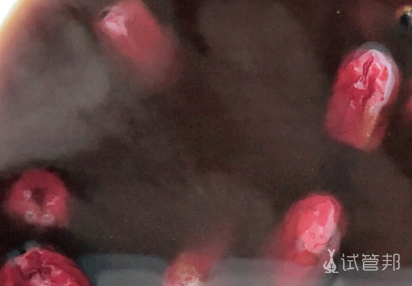 2ec9cbb273e1cf50fa4309f691eb6877.png 试管内膜薄先稳住!这碗汤我喝了两周涨了3mm