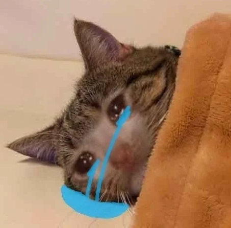 ec6287c3238b5b0d174d2b02bcda64f0.png 试管失败后,我躲开了朋友圈