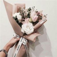 接金猪宝宝回家