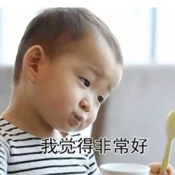 芋圆芋圆666