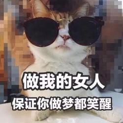 孤岛上的小蘑菇