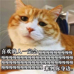 蜜桃熊猫