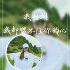 笨笨小猪的傻