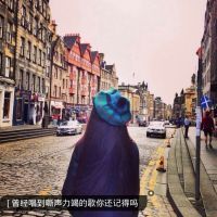 海绵饱饱b